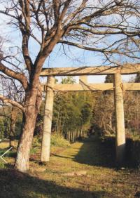 須賀神社一の鳥居