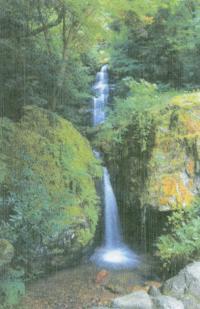 龍蔵寺　鼓の滝