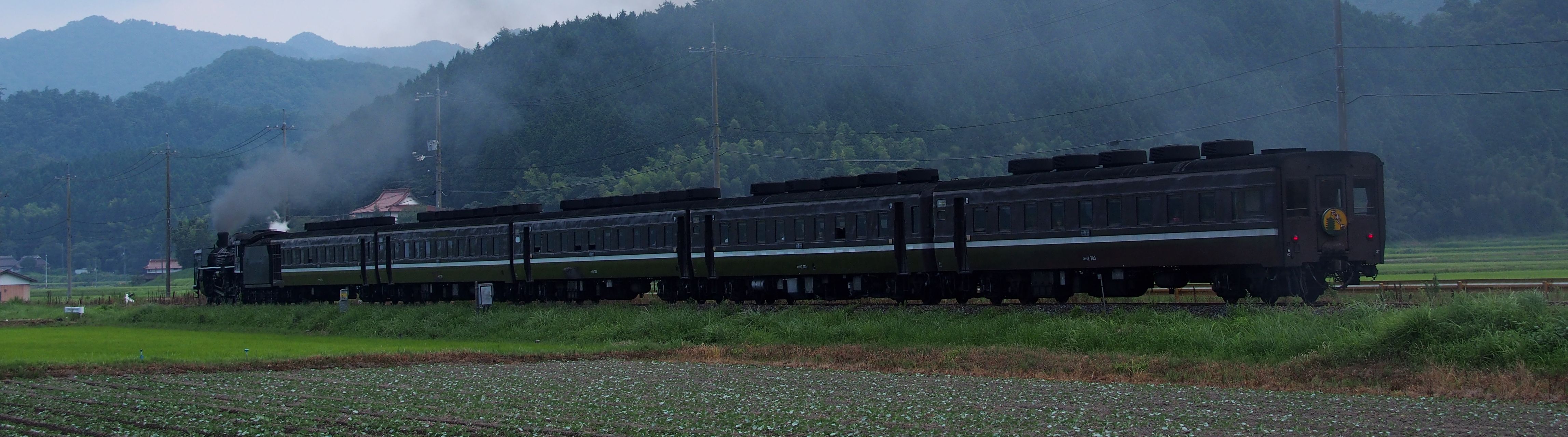 片山を行く蒸気機関車